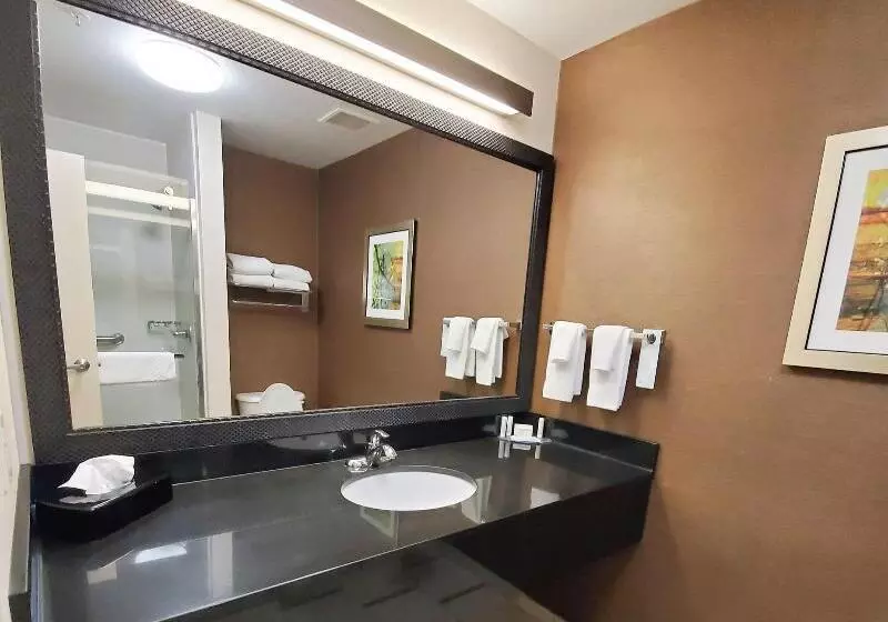 キングサイズベッドのエクゼクティブ, Fairfield Inn & Suites Cleveland Avon