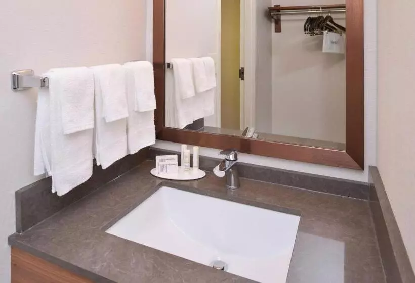 スタンダードルーム, Fairfield Inn & Suites By Marriott Pittsburgh New Stanton