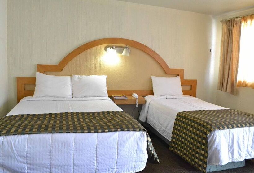 标准间, Flamingo Juarez