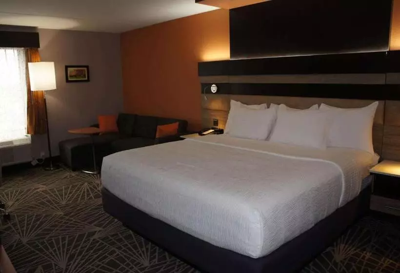 キングサイズベッドのデラックスルーム, La Quinta By Wyndham Branson
