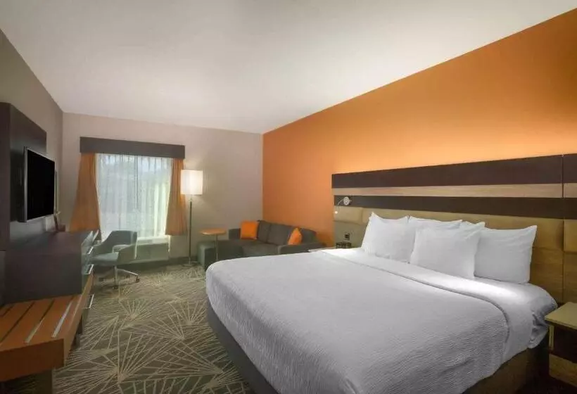 キングサイズベッドのデラックスルーム, La Quinta By Wyndham Branson