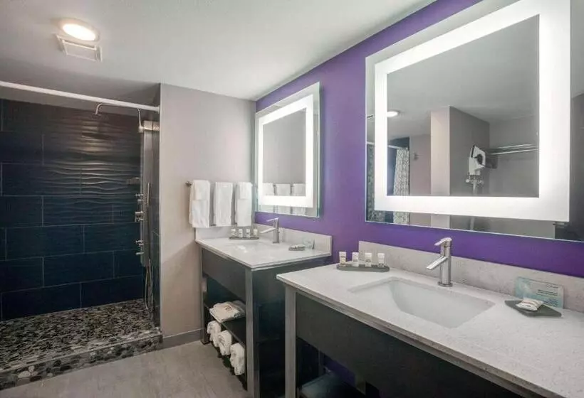 スーペリアールーム, La Quinta By Wyndham Branson