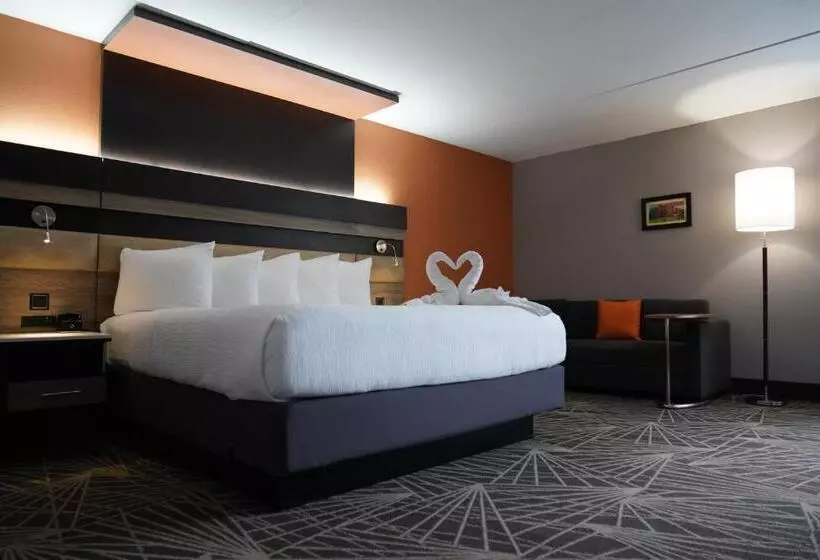スーペリアールーム, La Quinta By Wyndham Branson
