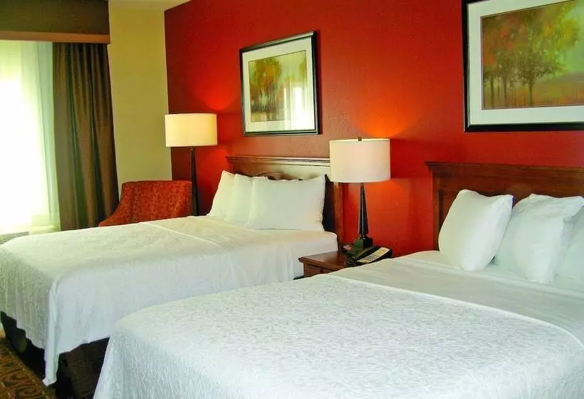 デラックスルーム, Savanna Inn & Suites