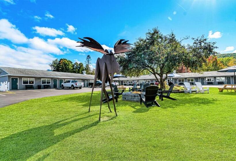 منزل غرفة نوم واحدة, Top Notch Inn