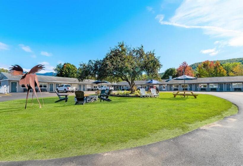 غرفة ديلوكس, Top Notch Inn