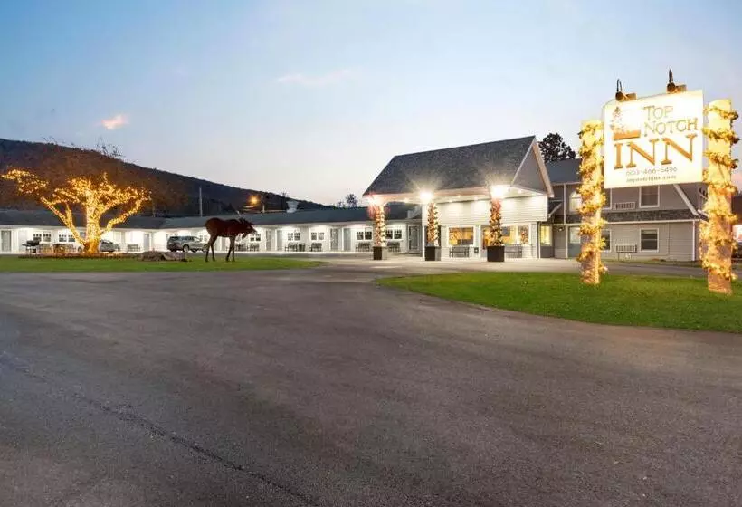 Standard-huone King-vuode, Top Notch Inn