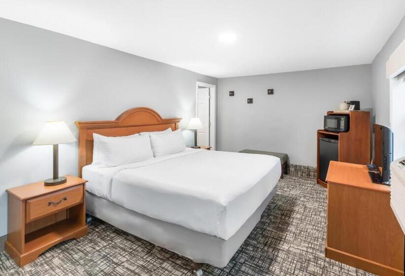 غرفة قياسية سرير كينج, Top Notch Inn