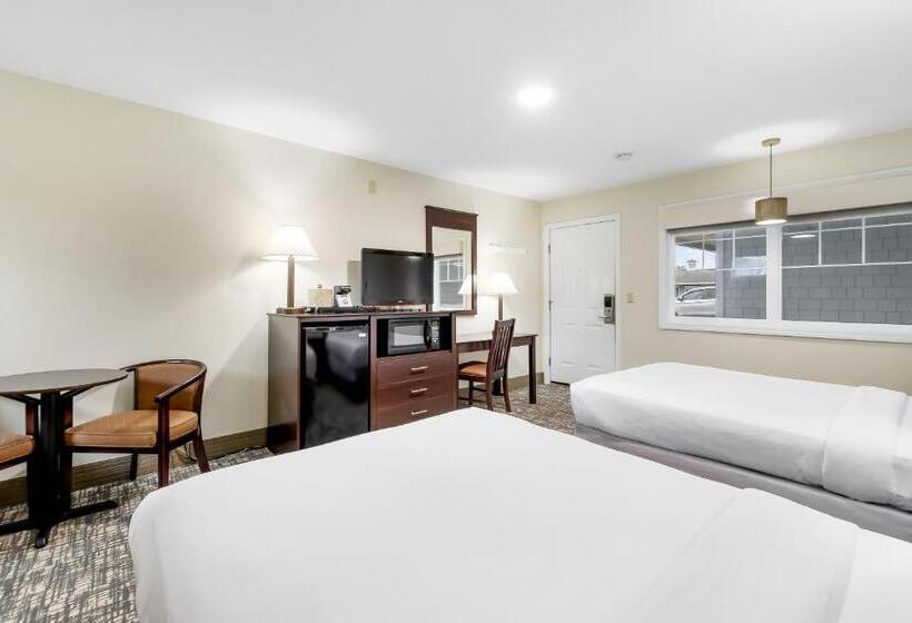 غرفة قياسية, Top Notch Inn