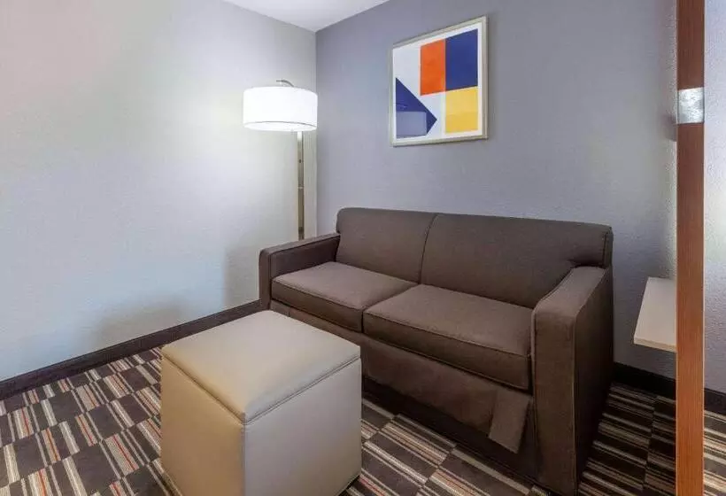 キングサイズベッドのスイートルーム, Microtel Inn & Suites By Wyndham Sunbury/columbus North