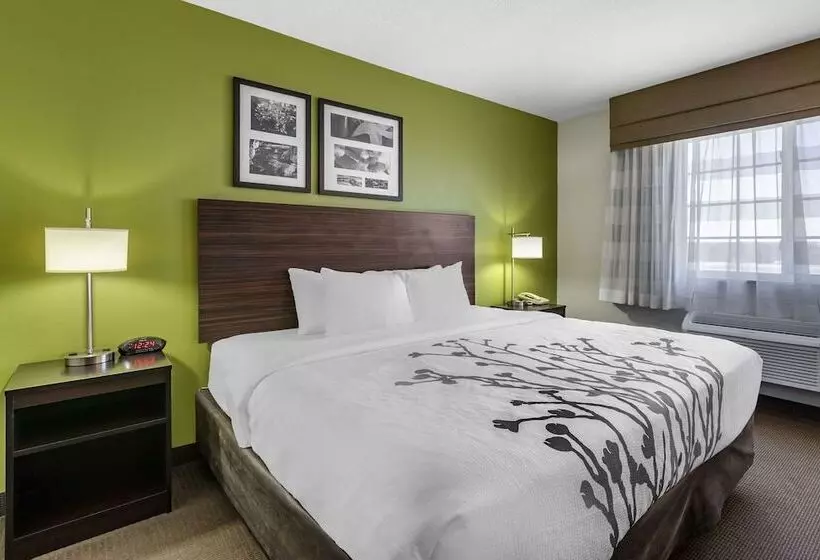 スイート, Sleep Inn & Suites Pleasant Hill  Des Moines