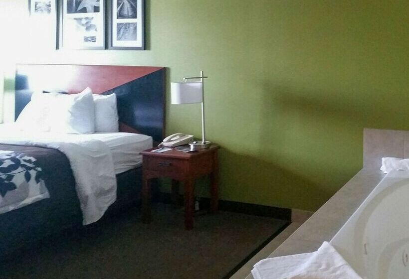 스위트, Sleep Inn & Suites Pleasant Hill  Des Moines
