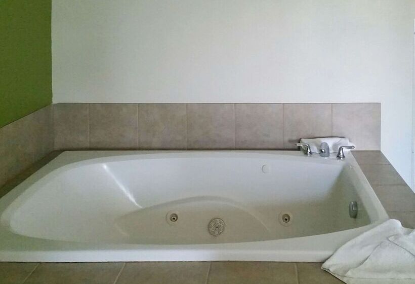 Люкс, Sleep Inn & Suites Pleasant Hill  Des Moines