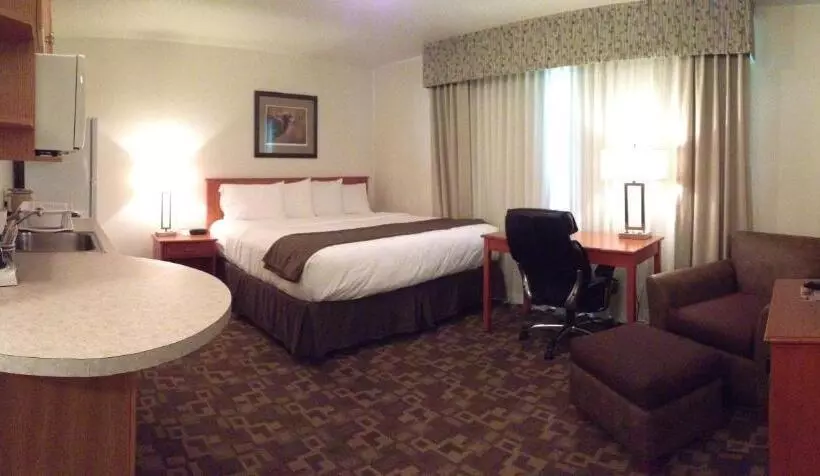 キングサイズベッドのスタンダードルーム, Alaska's Select Inn Wasilla