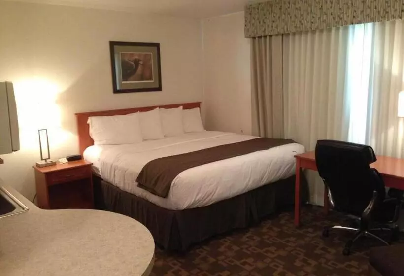 キングサイズベッドのスタンダードルーム, Alaska's Select Inn Wasilla