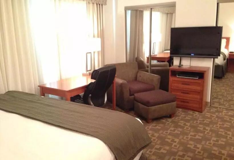 キングサイズベッドのスタンダードルーム, Alaska's Select Inn Wasilla