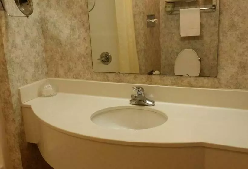 キングサイズベッドのスタンダードルーム, Budget Host Inn