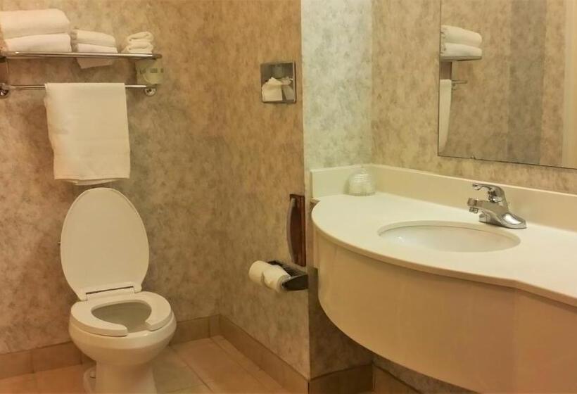Стандартный Номер Кровать Кинг, Budget Host Inn
