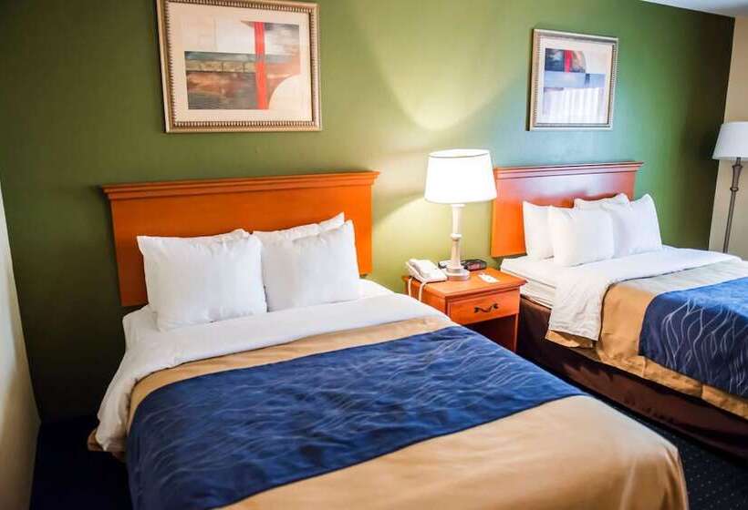 חדר סטנדרט שתי מיטות זוגיות, Comfort Inn & Suites Chipley I10