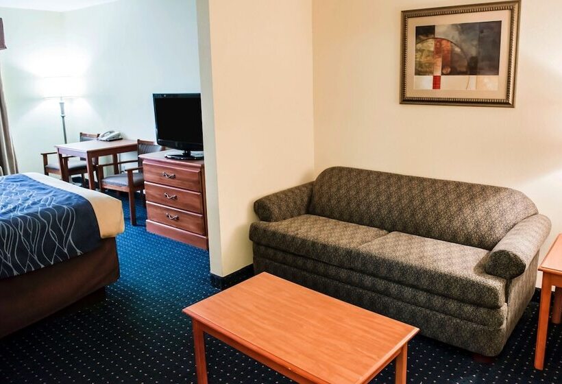 غرفه قياسيه سريرين مزدوجين, Comfort Inn & Suites Chipley I10