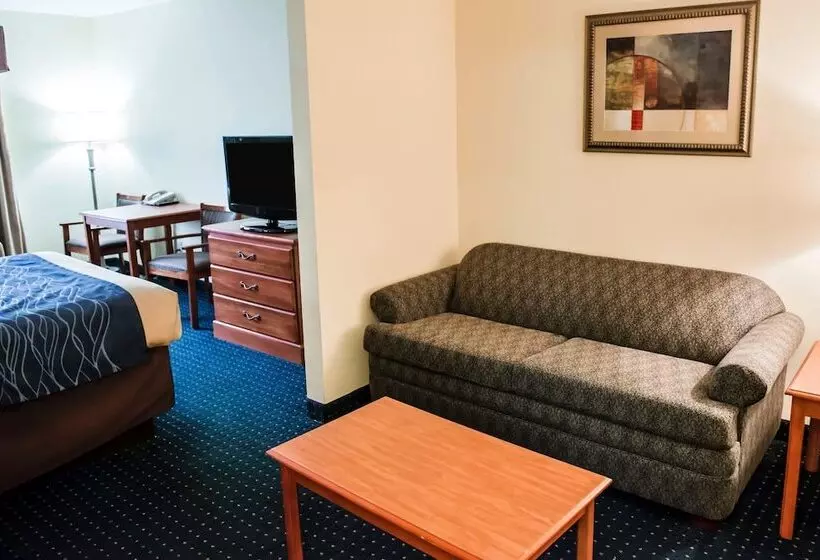 スイート, Comfort Inn & Suites Chipley I10