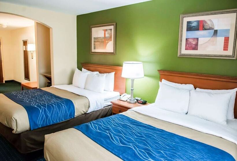 جناح, Comfort Inn & Suites Chipley I10