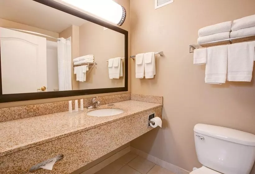 プレミアムスイート, Country Inn & Suites By Radisson, Red Wing, Mn