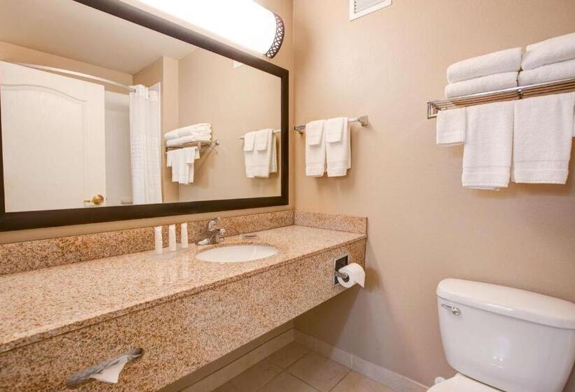 Номер Стандарт Адаптированный для Инвалидов, Country Inn & Suites By Radisson, Red Wing, Mn