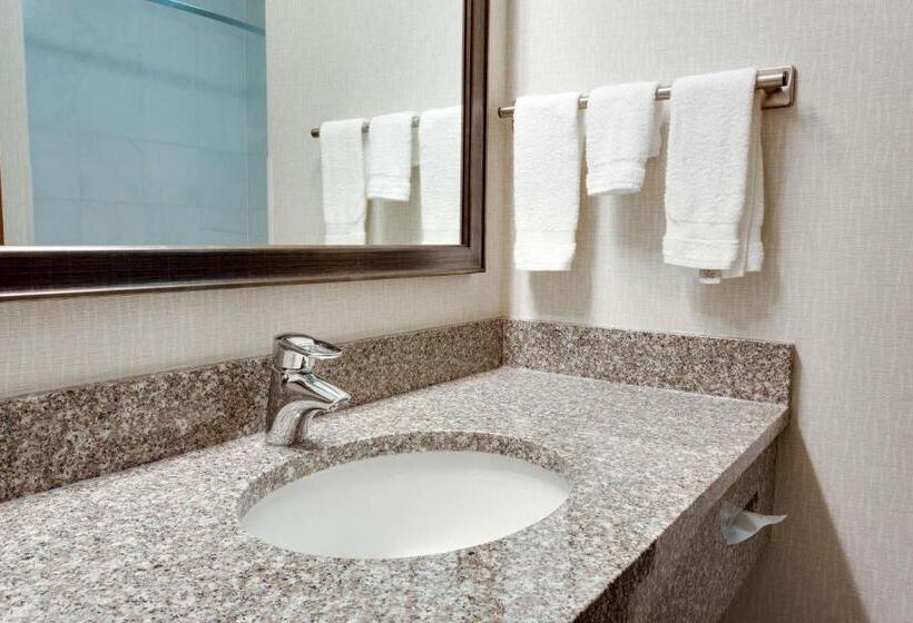 스탠다드 룸 킹사이즈 침대, Drury Inn & Suites Greenville
