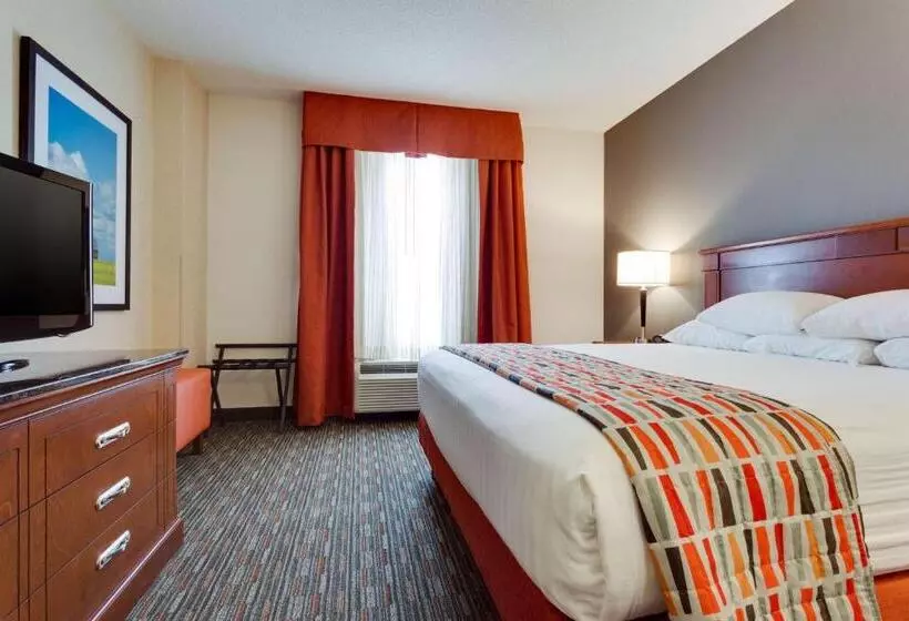 キングサイズベッドのスイートルーム, Drury Inn & Suites Greenville