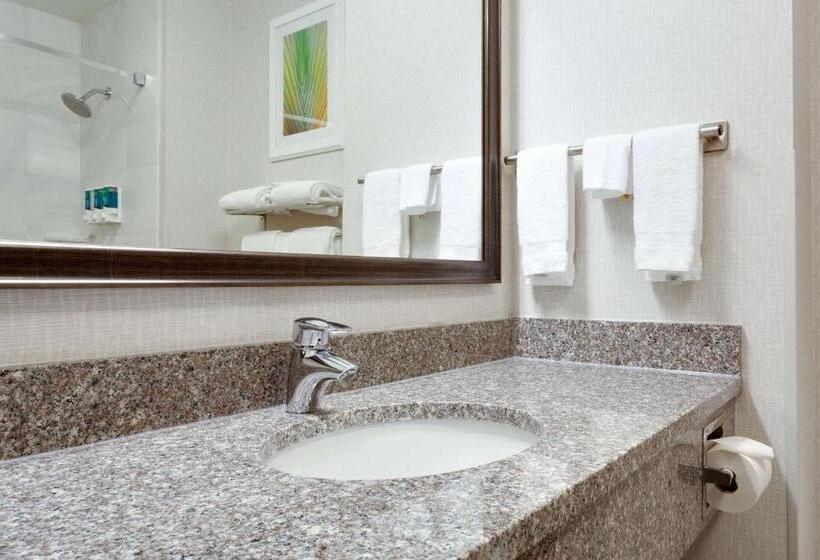 高级套房, Drury Inn & Suites Greenville