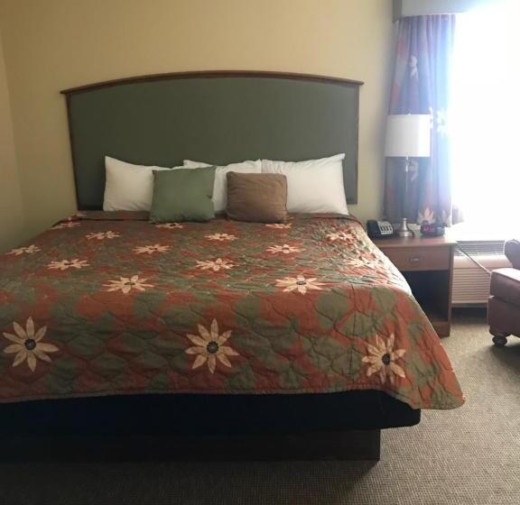 غرفة قياسية سرير كينج, Randolph Inn And Suites