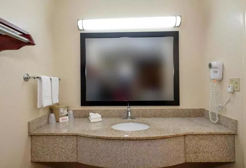 キングサイズベッドのスーペリアルーム, Red Roof Inn Columbus, Ms