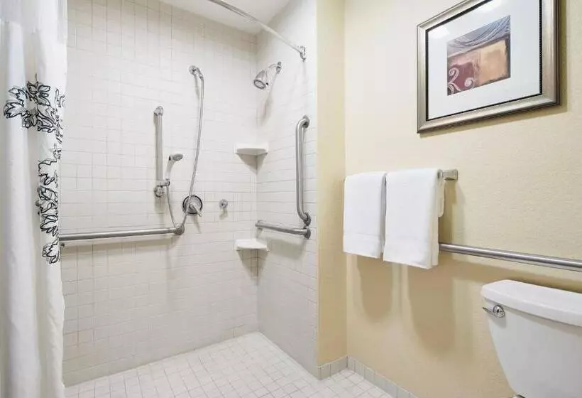 سوئیت با تخت بزرگ, Residence Inn Temple