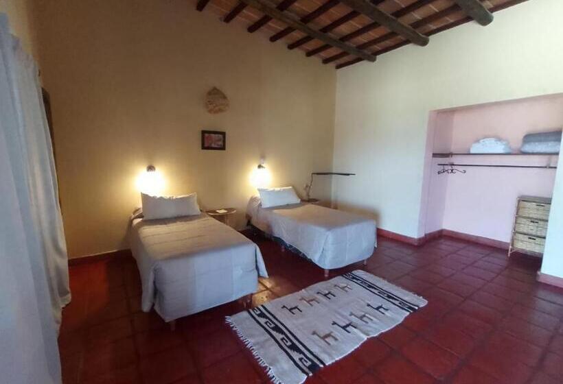 스탠다드 룸 산 전망, Texas