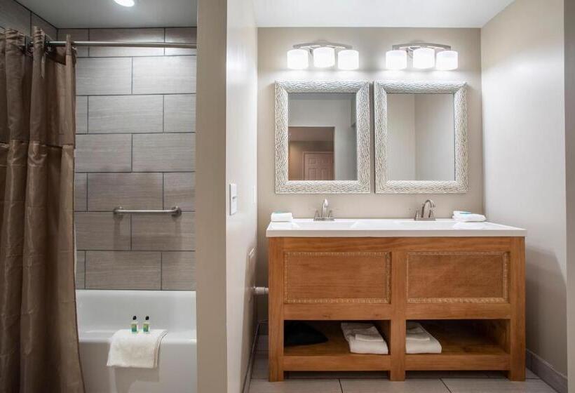 带大床的标准间, Hershey Farm Resort