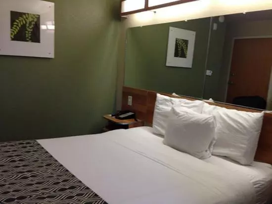 スタンダードルーム, Microtel Inn & Suites By Wyndham Saraland