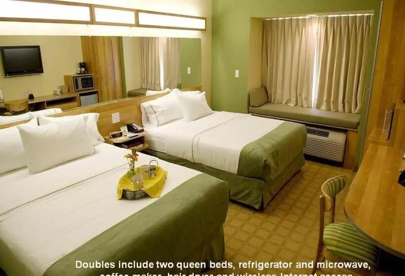 身障者適用スタンダードルーム, Microtel Inn & Suites By Wyndham Saraland