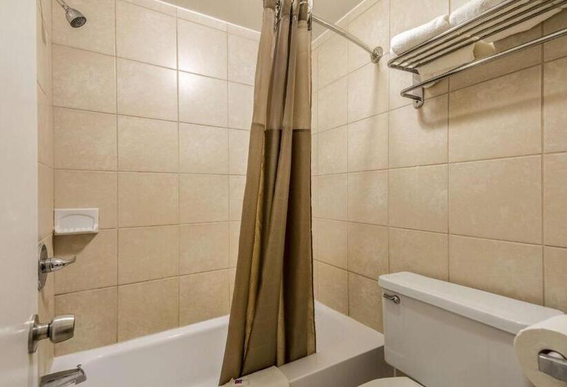 스탠다드 룸 킹사이즈 침대, Motel 6schenectady, Ny