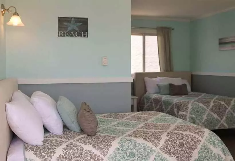 اتاق لوکس, Sandy Shore Motel