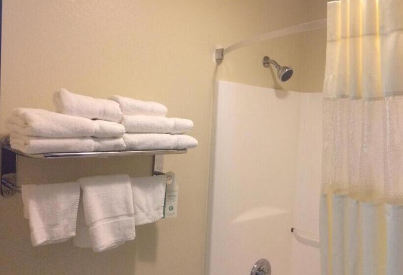 غرفة قياسية سرير كينج, Boarders Inn & Suites By Cobblestone Hotels   Ashland City