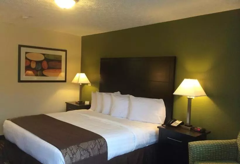 キングサイズベッドのスタンダードルーム, Boarders Inn & Suites By Cobblestone Hotels   Ashland City