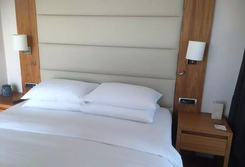 身障者適用キングサイズベッドルーム, Doubletree By Hilton Zagreb