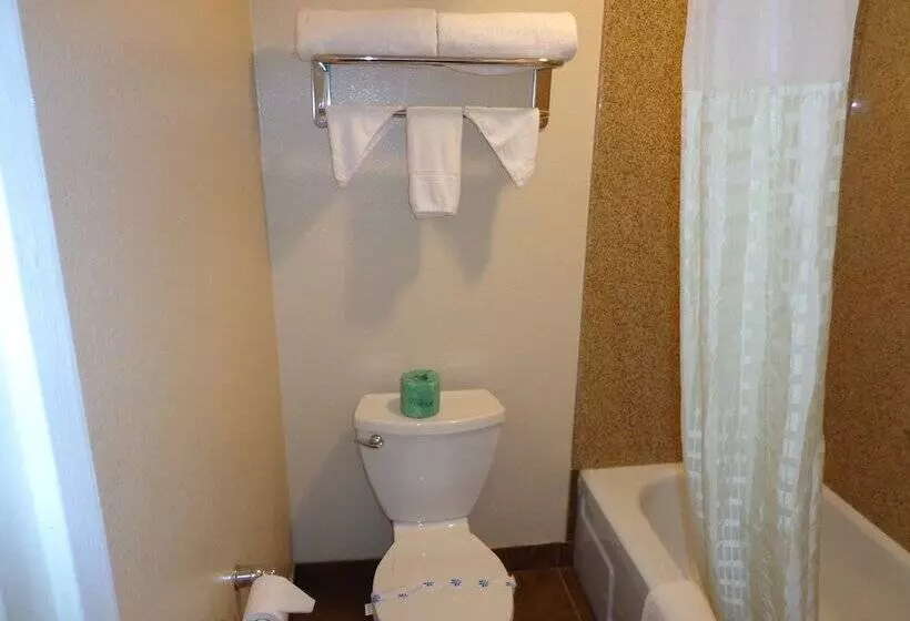 Standard-huone 2 Parivuodetta, Economy Inn Express Warren