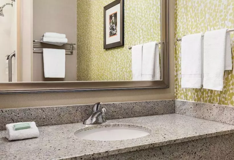 スイート, Fairfield Inn & Suites By Marriott Amarillo Airport