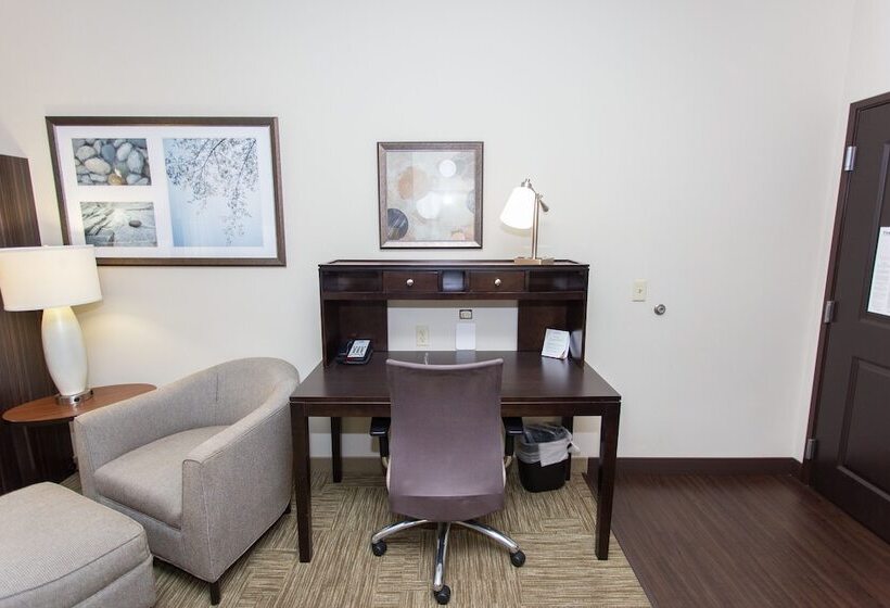 סוויטת 2 חדרי שינה, Staybridge Suites Bowling Green, An Ihg