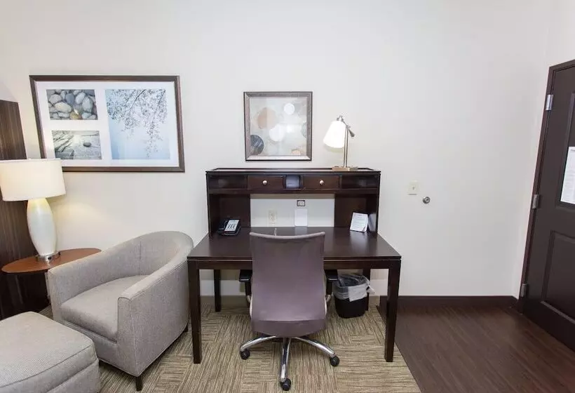 ２ベッドスイートルーム, Staybridge Suites Bowling Green, An Ihg