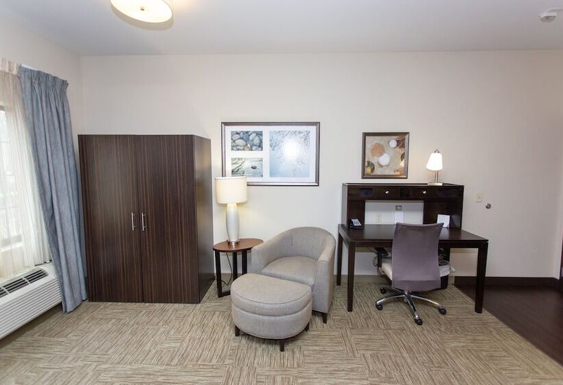 חדר סטודיו סטנדרד, Staybridge Suites Bowling Green, An Ihg
