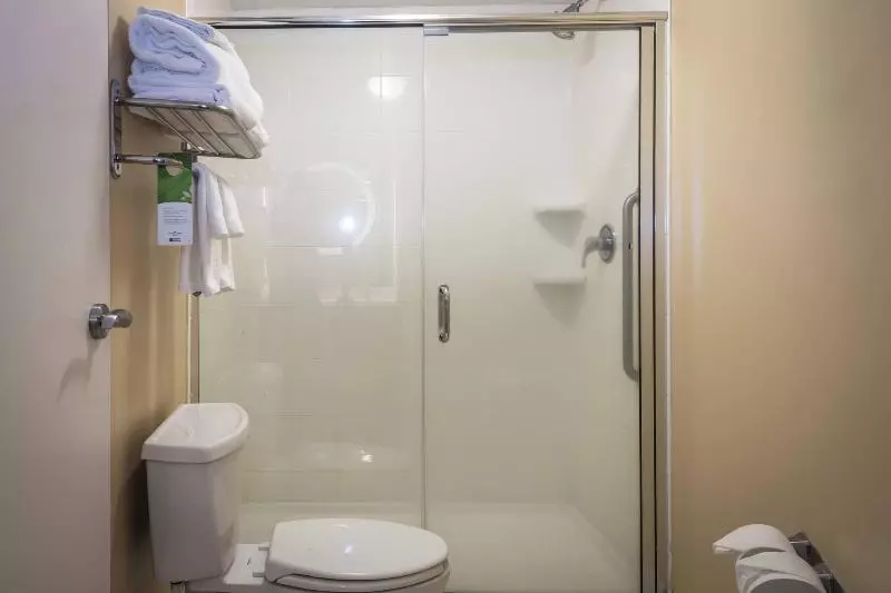 キングサイドベッドのスタンダードワンルーム, Springhill Suites Statesboro University Area