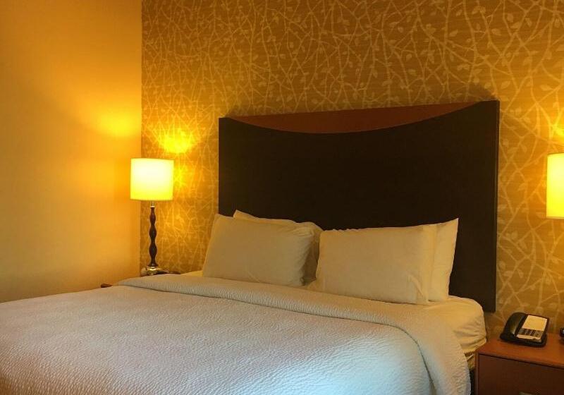 带大床的标准间, Fairfield Inn And Suites By Marriott Dallas Mansfield